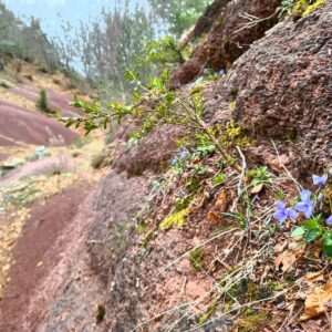 Des tours de Cabrenç aux terres rouges de la Muga