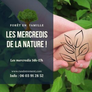Découvrir en famille les secrets de la forêt et des arbres