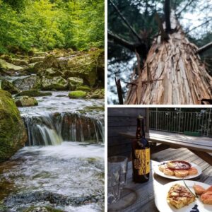 Journée à l'Arboretum de San Guillem & tapas au refuge