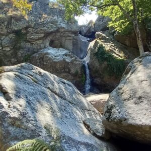 La Réserve Naturelle de la Massane